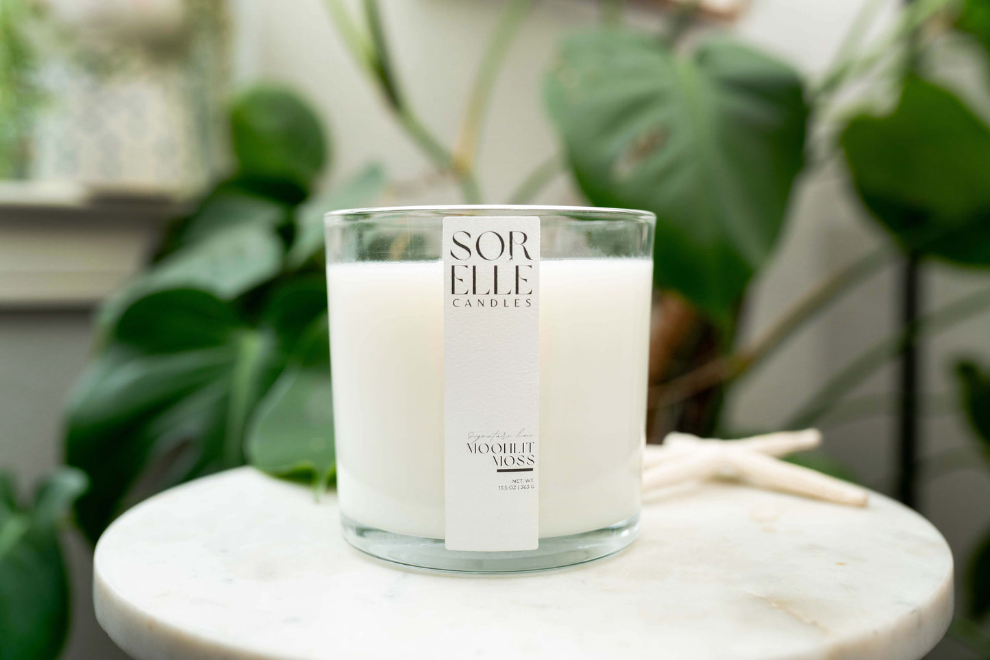 Pine Moss Highly Scented Coconut Wax Candle