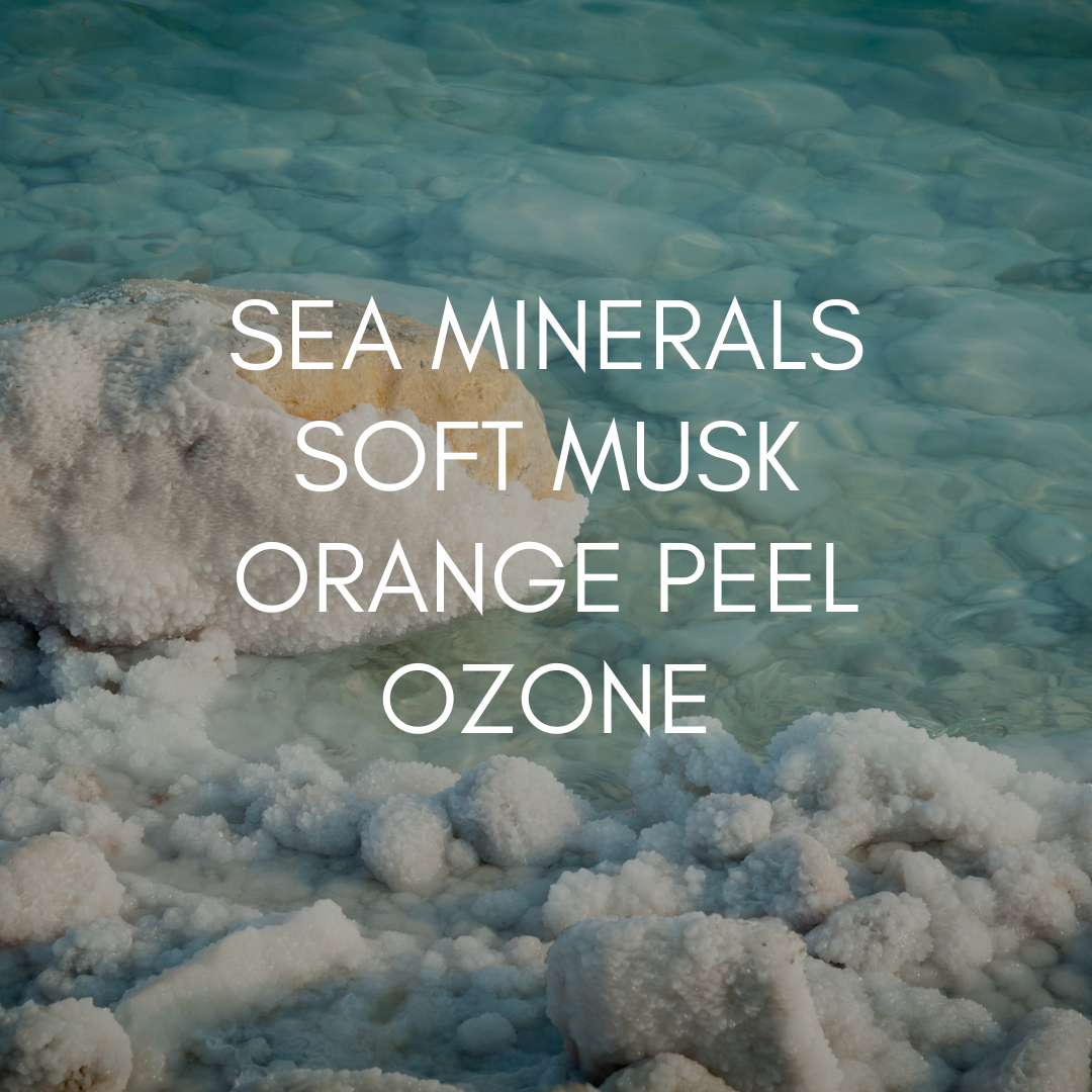 Sea Salt candle, luxury coconut wax candle. non-toxic home fragrance. 14oz, made in Houston, Texas