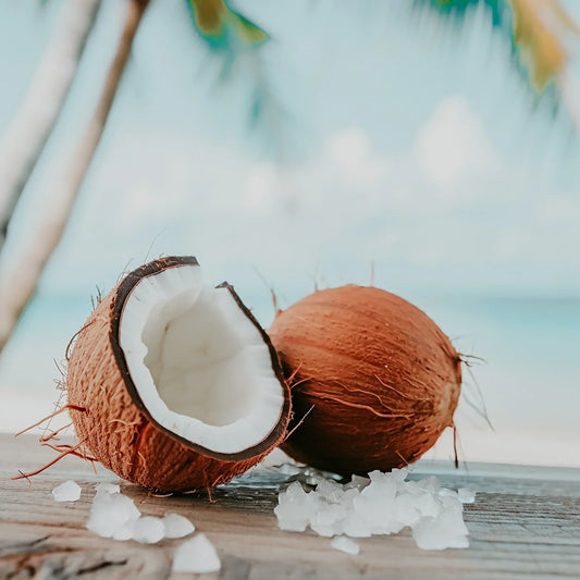 Coconut Wax & the Art of the Perfect Burn: Behind the Scenes at Sorelle Candles