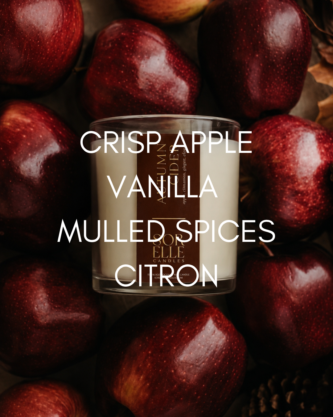 Autumn Cider coconut wax candle, warm spiced fall scent