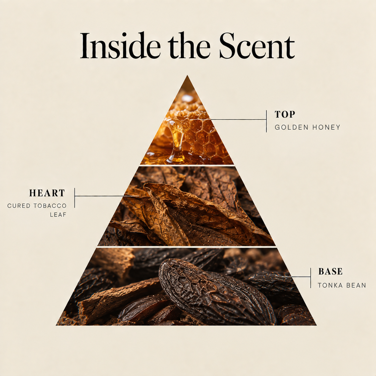 Honey Tobacco coconut wax candle scent notes: golden honey top, cured tobacco leaf heart, tonka bean base