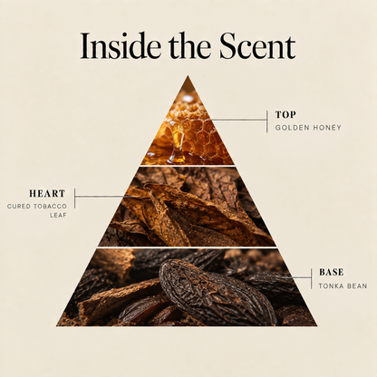 Honey Tobacco coconut wax candle scent notes: golden honey top, cured tobacco leaf heart, tonka bean base