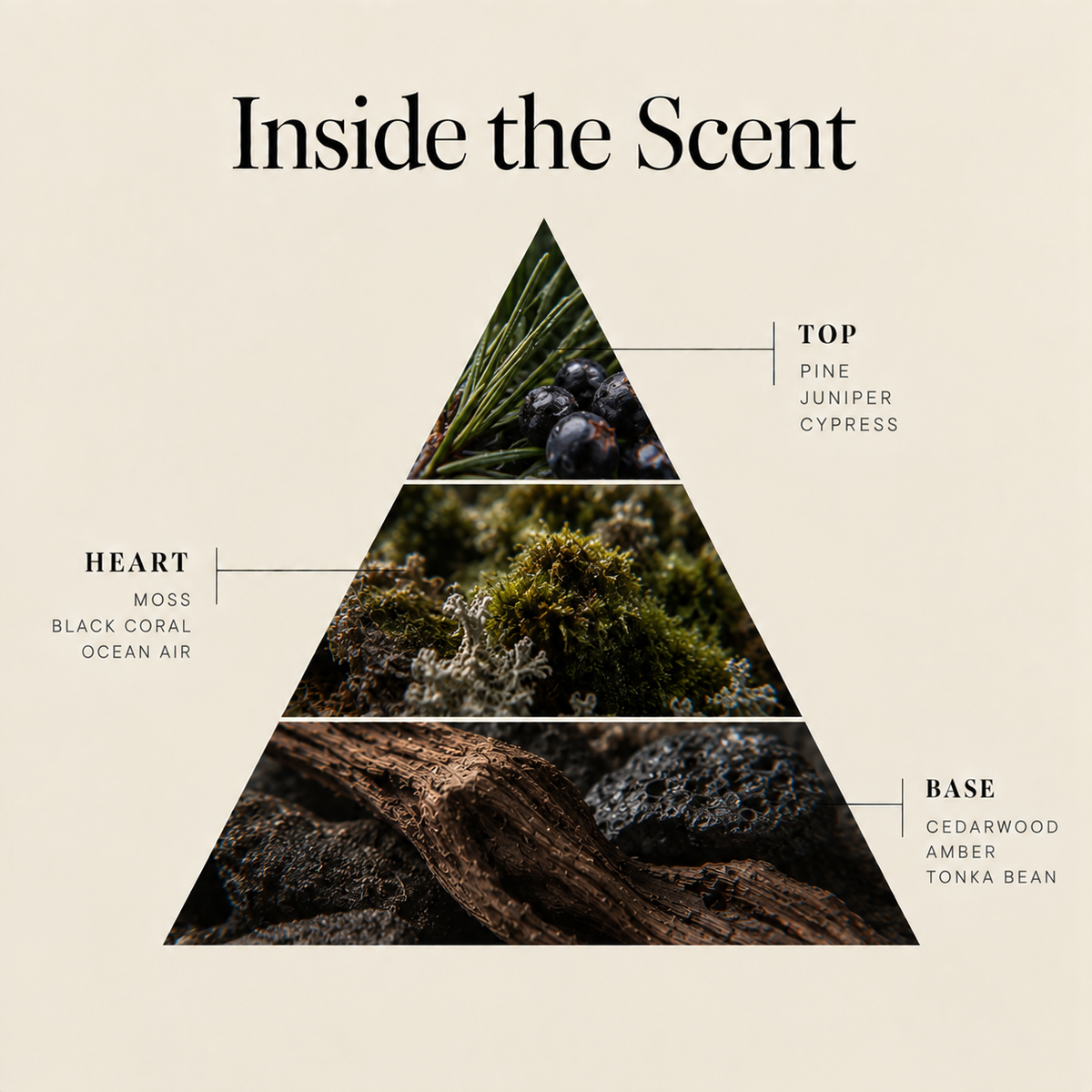 Indigo Rain coconut wax candle scent notes: pine juniper cypress top, moss black coral ocean air heart, cedarwood amber tonka bean base