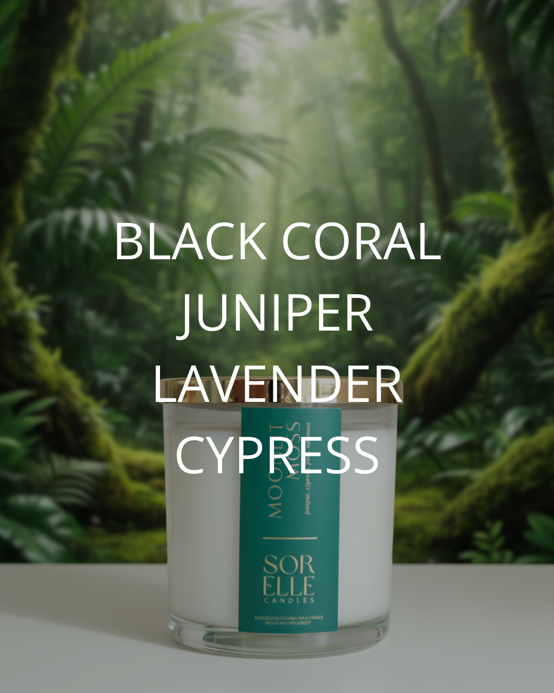 Moonlit Moss — Fresh, Green Forest Pine, luxury coconut wax candle, 14oz & 25 oz Sorelle