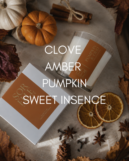 Pumpkin Oud coconut wax candle, warm autumnal scent throw