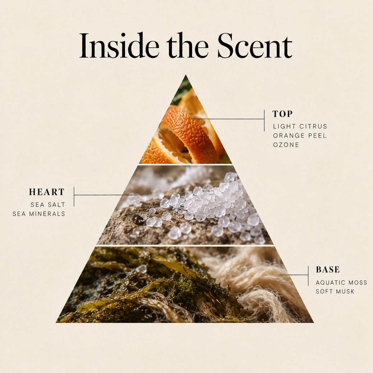 Sea Salt Breeze coconut wax candle scent notes: citrus & ozone top, sea salt heart, aquatic moss & musk base