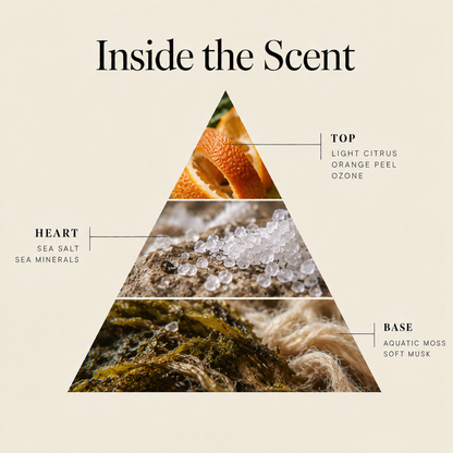 Sea Salt Breeze coconut wax candle scent notes: citrus & ozone top, sea salt heart, aquatic moss & musk base