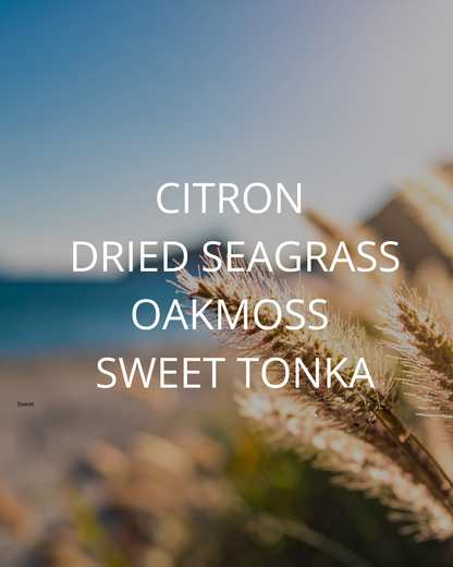 Sea Grass & Sage — Clean, Breezy & Effortlessly Fresh