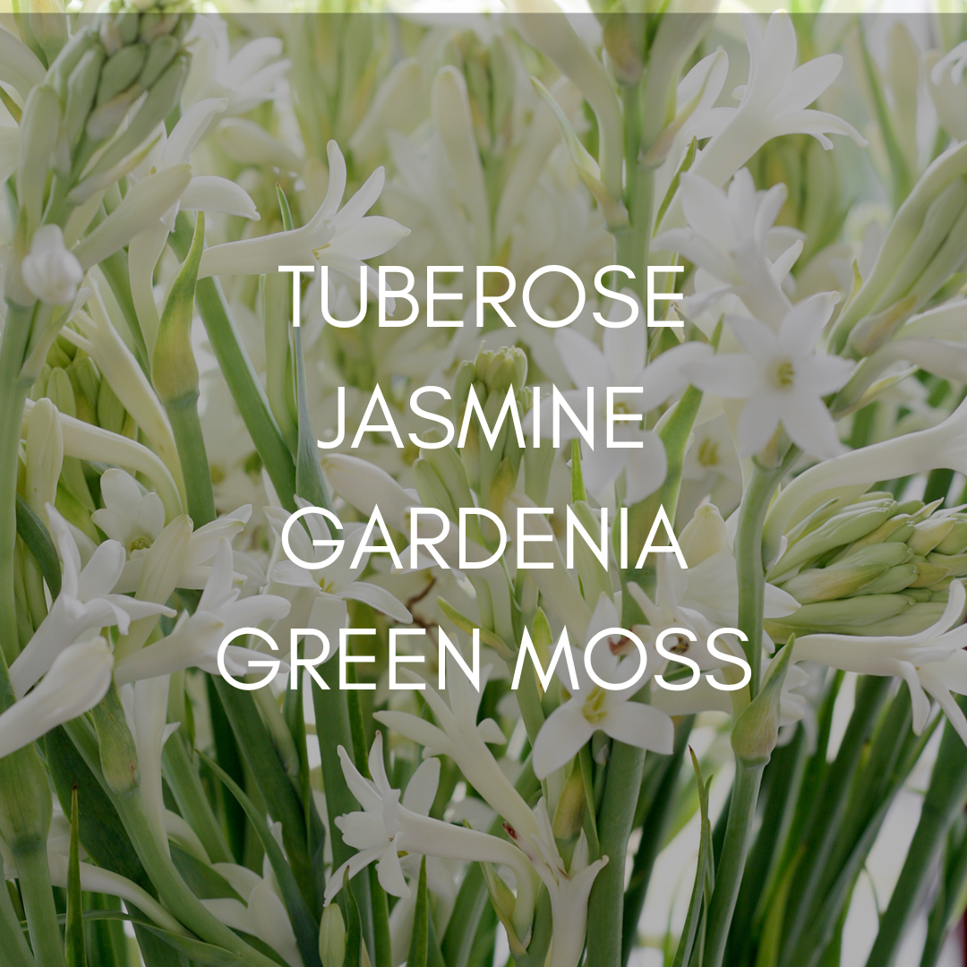 Tuberose & Moss — Lush, Floral & Beautifully Complex