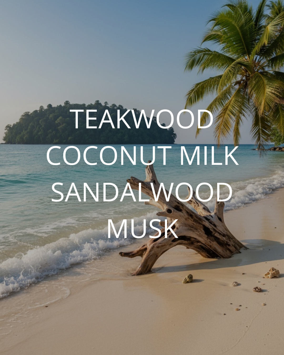 Coco Santal — Creamy, Exotic & Deeply Grounding